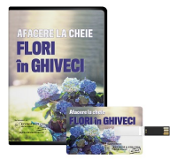 Afacere la cheie cu flori in ghiveci